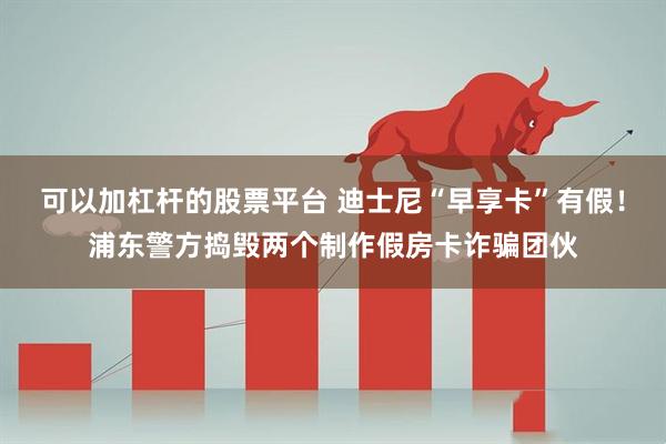 可以加杠杆的股票平台 迪士尼“早享卡”有假！浦东警方捣毁两个制作假房卡诈骗团伙