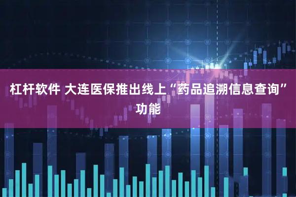杠杆软件 大连医保推出线上“药品追溯信息查询”功能