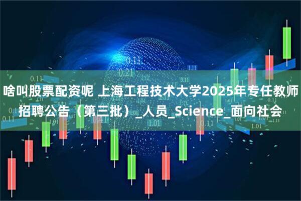 啥叫股票配资呢 上海工程技术大学2025年专任教师招聘公告（第三批）_人员_Science_面向社会